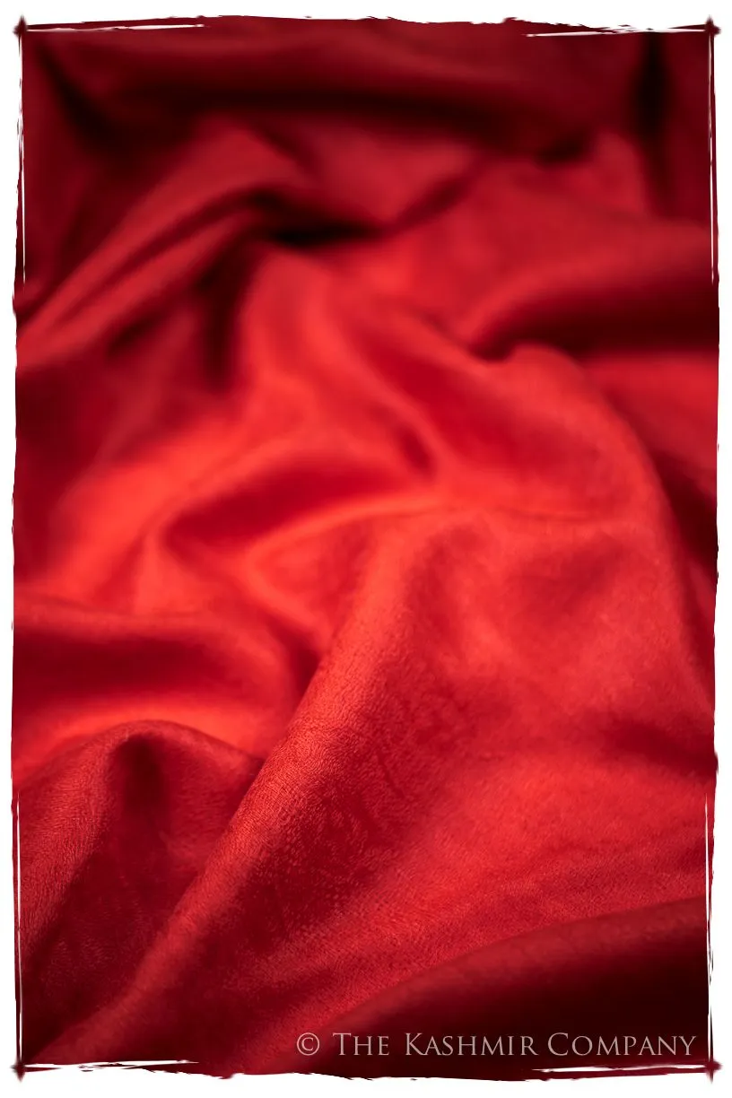 Jacquard Paisley Flame Scarlet Cashmere Scarf