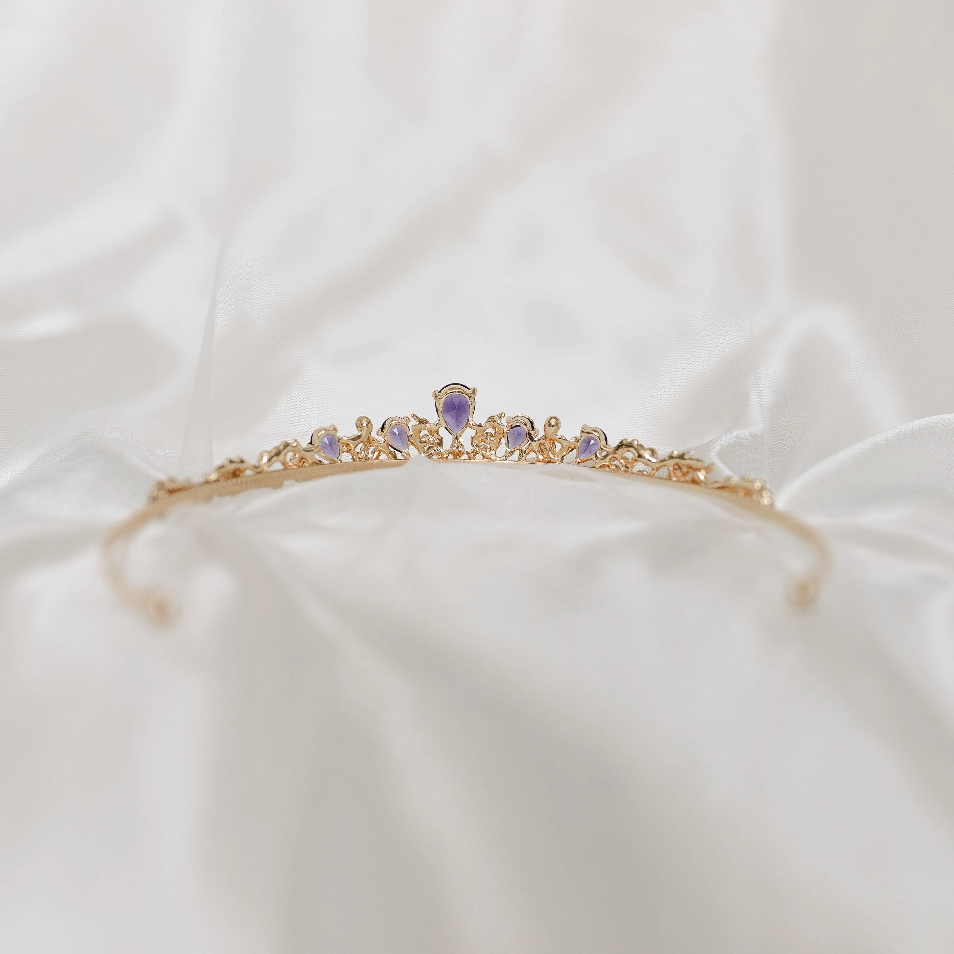 Sadie’s Tiara in Purple & Gold