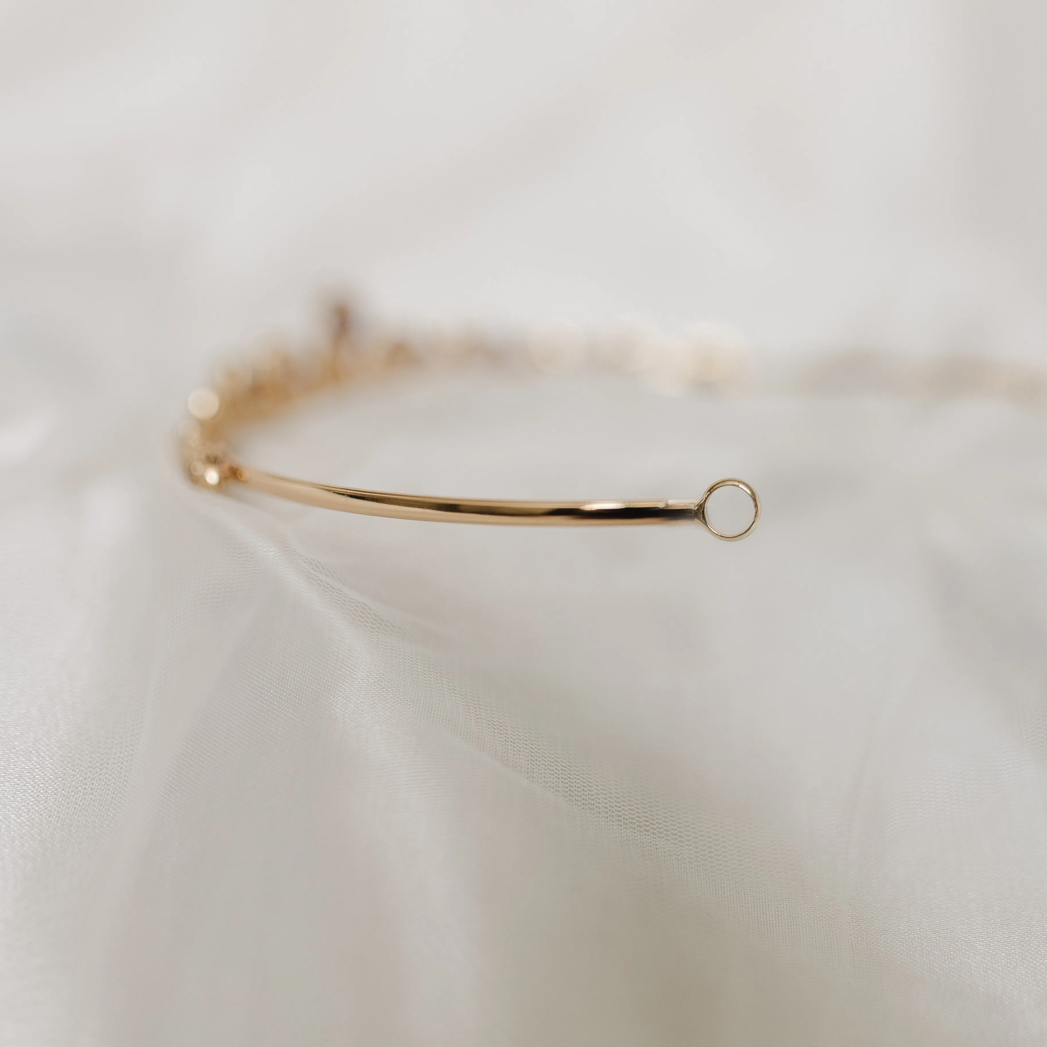 Sadie’s Tiara in Purple & Gold