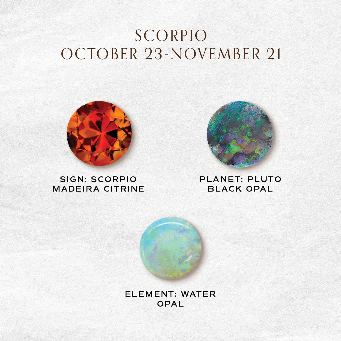 Scorpio Zodiac Fringe Necklace